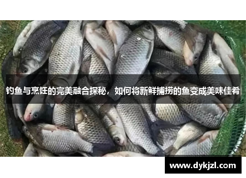 钓鱼与烹饪的完美融合探秘，如何将新鲜捕捞的鱼变成美味佳肴
